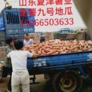 開封1元商品批發