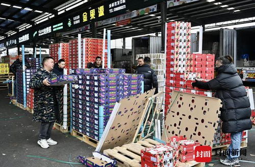 車厘子成年貨 頂流 蒜臺批發(fā)價回落 探訪西南最大農產品批發(fā)交易市場 新春走基層